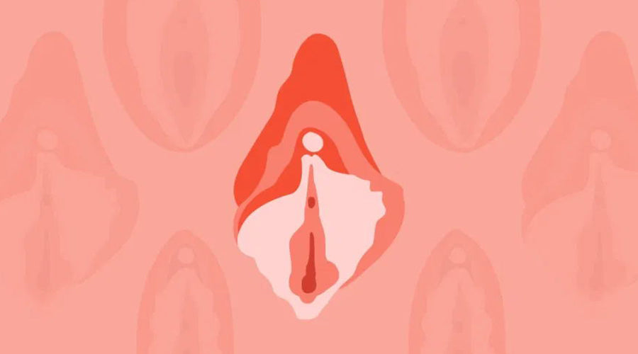 Was Sie über die Klitoris wissen sollten